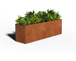 Cortenstaal Plantenbak Rechthoek | 200 x 50 x 40 | Met bodem