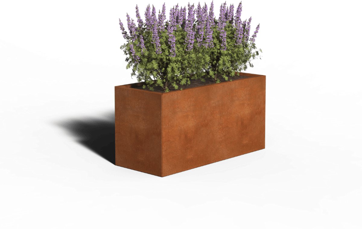 Cortenstaal Plantenbak Rechthoek | 120 x 50 x 60 | Zonder bodem