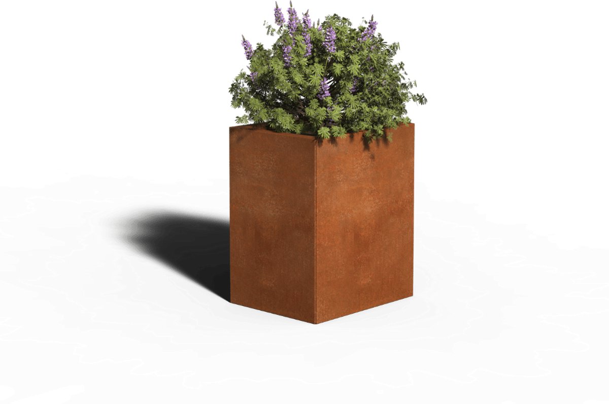 Cortenstaal Plantenbak Rechthoek | 50 x 40 x 30 | Zonder bodem