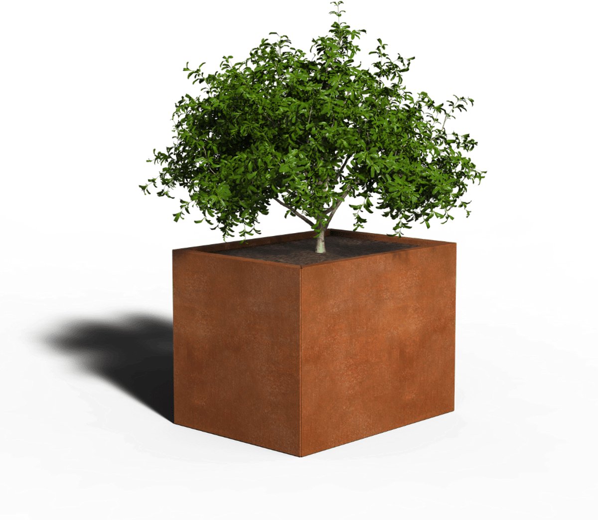 Cortenstaal Plantenbak Rechthoek | 80 x 60 x 60 | Zonder bodem
