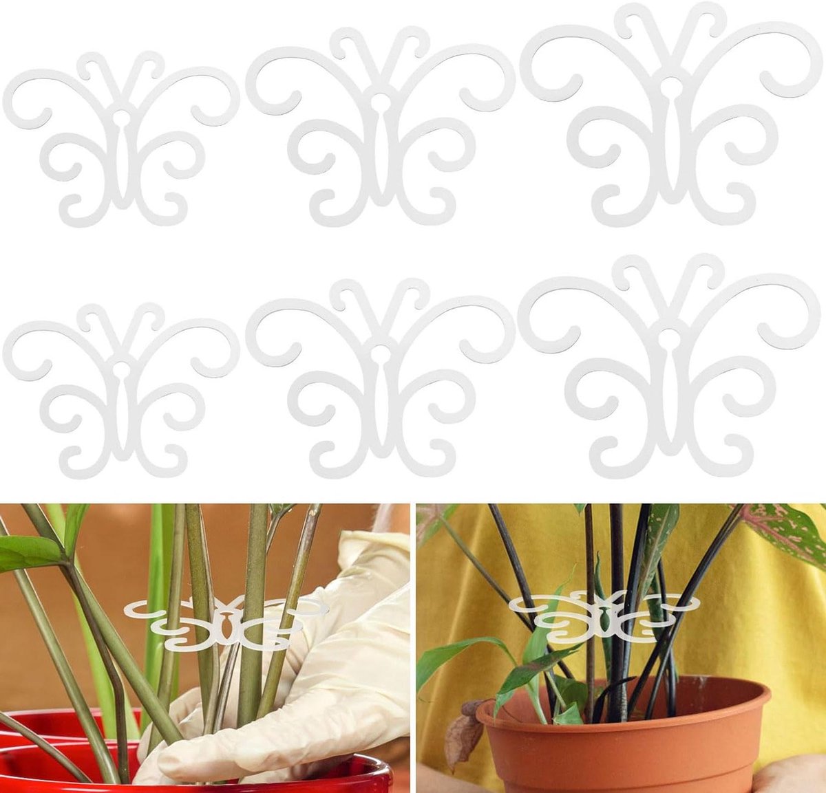 6 stuks Plantenstengelondersteuning, Bladhouder voor Monstera en Klimplanten - Verticale Groei - Binnen en Buiten - EGoods