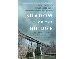 Shadow of the Bridge