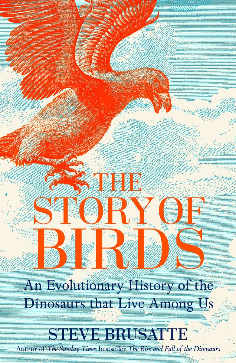 Omslag van The Story of Birds