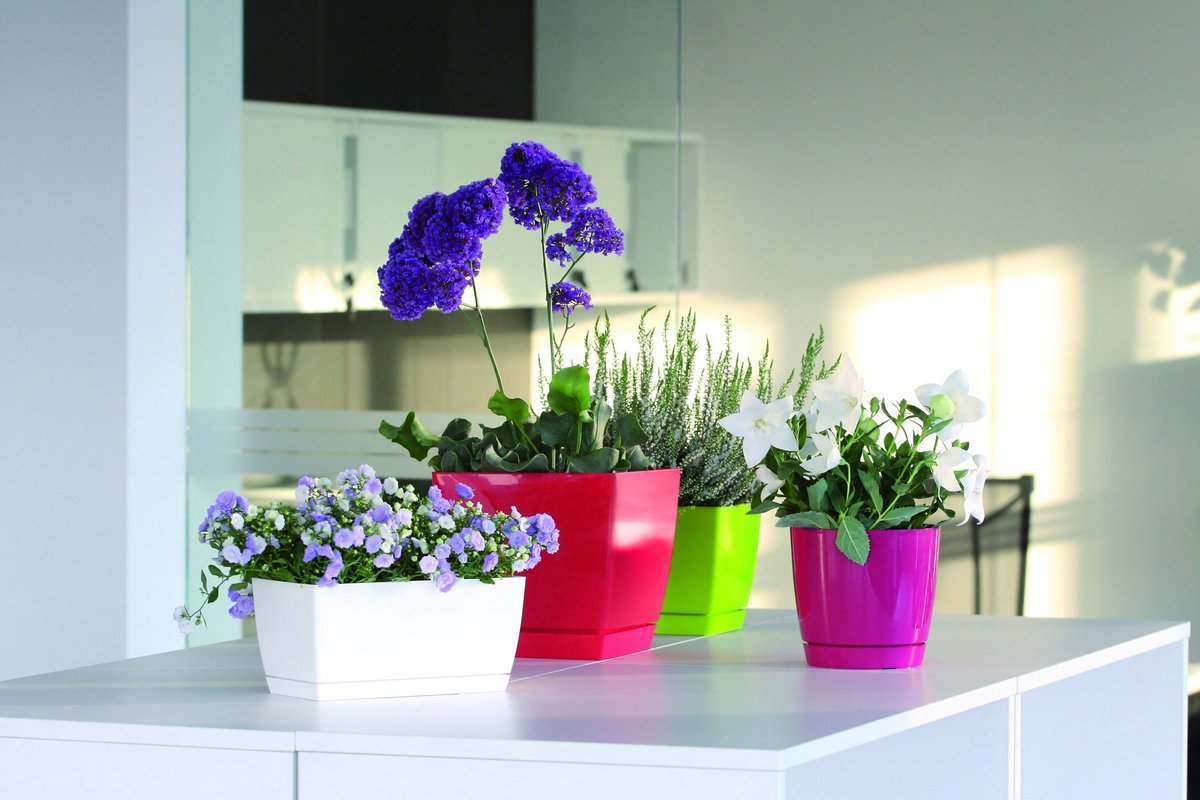 Prosperplast Coubi - Ronde Bloempot met Schotel - Ø 10 cm - Grafiet (Antraciet) - Hoogglans - Voor Binnen & Buiten
