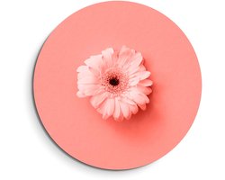 KitchenArt - Coral Gerbera – Cercle Mural Intérieur - ø 80 cm - Cercle Mural - Avec Système d'Accrochage - Décoration Murale - Décoration Murale