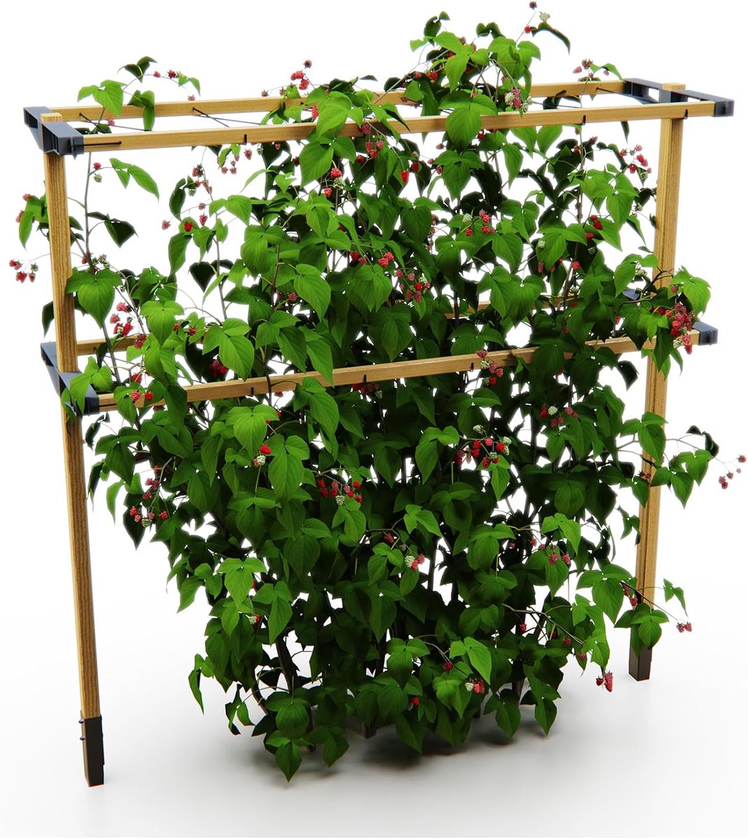 Gusta Garden Berry Buddy - Flexibele trellis voor bessen: frambozen, bramen en bosbessen, uitbreidbaar, geproduceerd in de EU, houten trellis