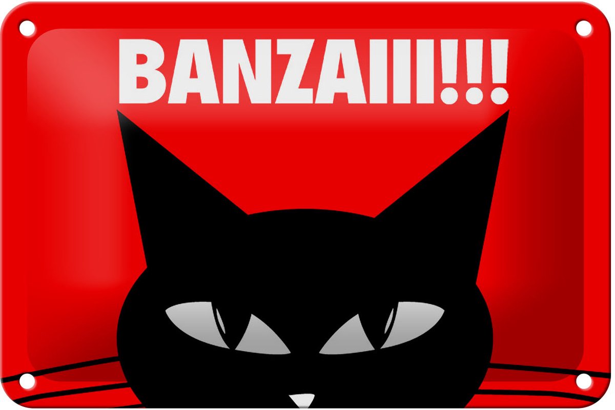 Blechschild Spruch 18x12cm Katze Banzaiii
