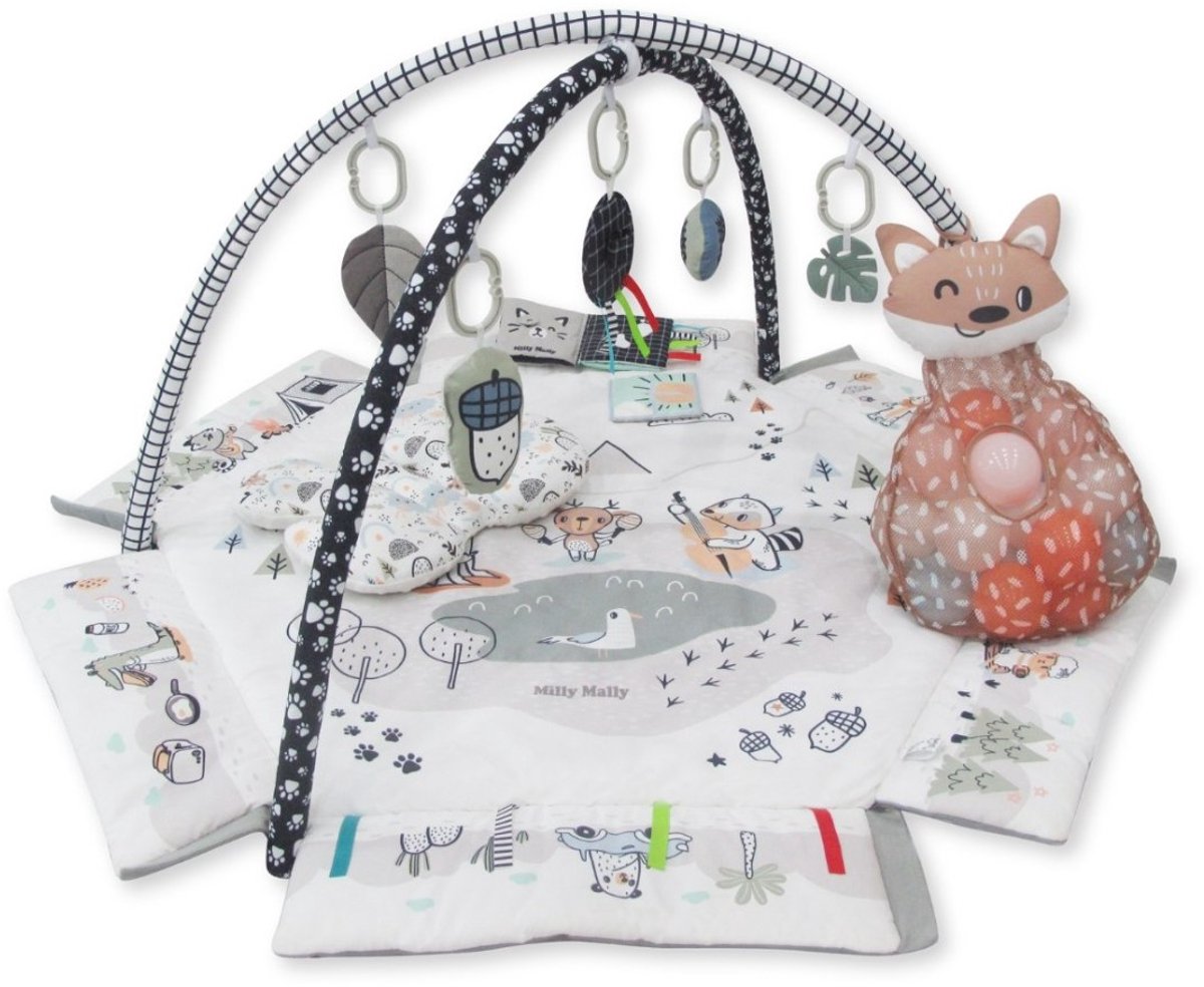 Milly Mally - Speelmat / Babygym 5-in-1 - Minky - Sensorysch & Met Ballenbak