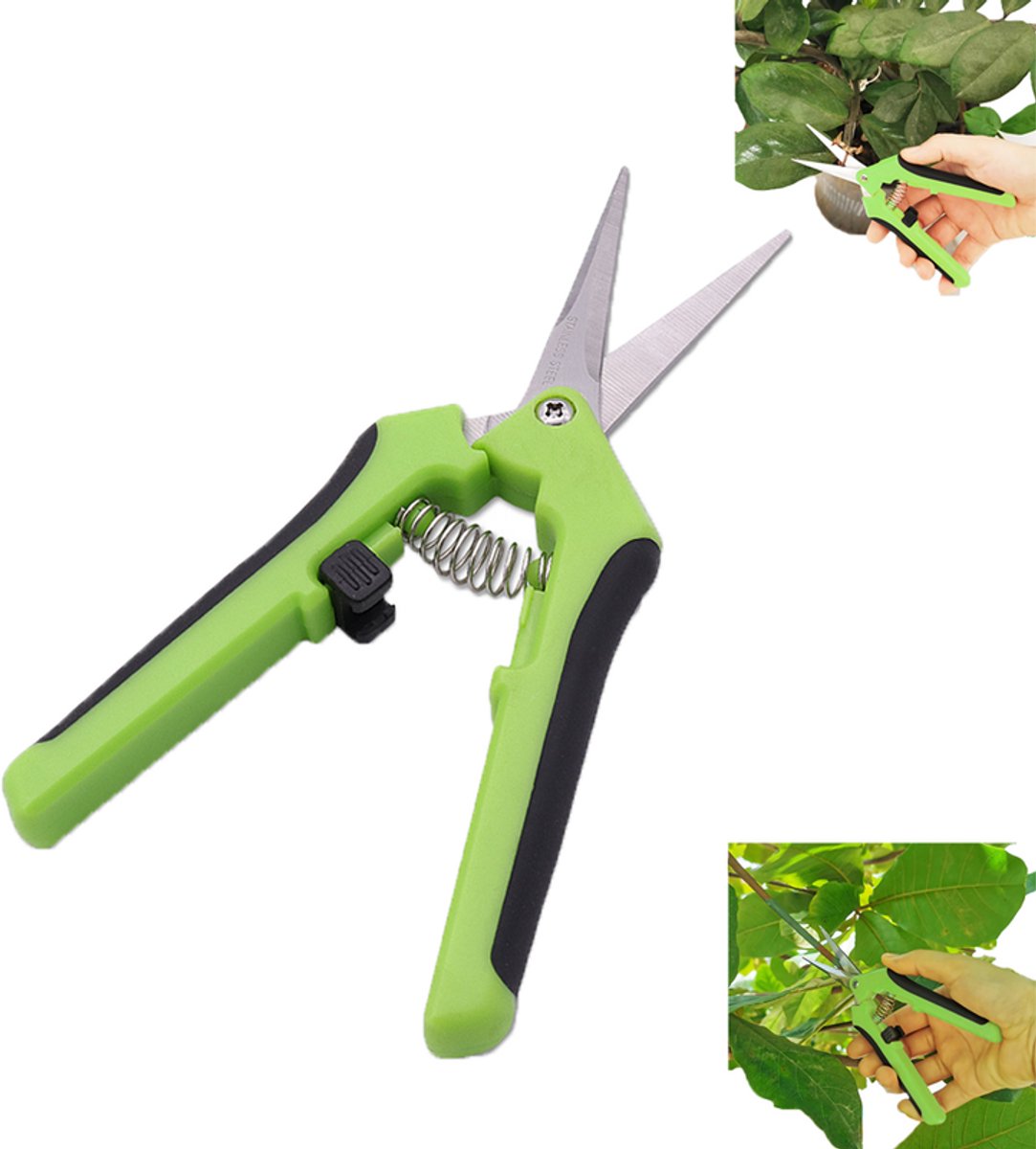 Snoeischaar van roestvrij staal - Tuinschaar met rechte punt - Groen - Tuinschaar - Antislipschaar - Snoeischaar met recht blad voor bloemen - Hobbytuinschaar - Tuinschaar van roestvrij staal