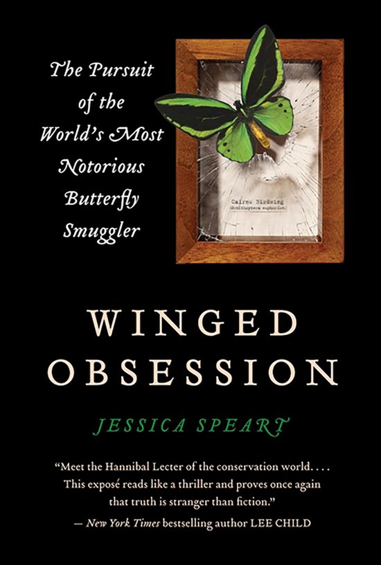Winged Obsession - cover