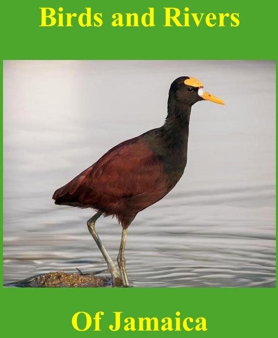 Birds and Rivers of Jamaica - cover