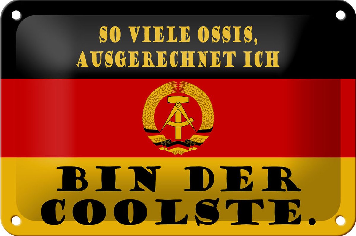 Blechschild Spruch 18x12cm so viele Ossis bin der coolste