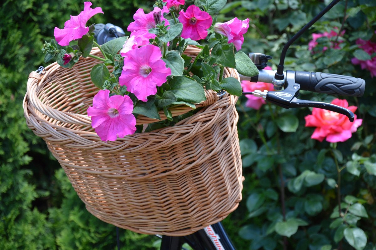 Ruime Wikkelen Fietsmand - Grote Fietsmand voor Boodschappen & Meer