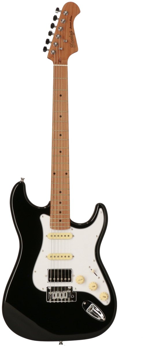 Elektrische gitaar - Met gratis lessen - incl. gigbag - Zwart Fazley Dawn