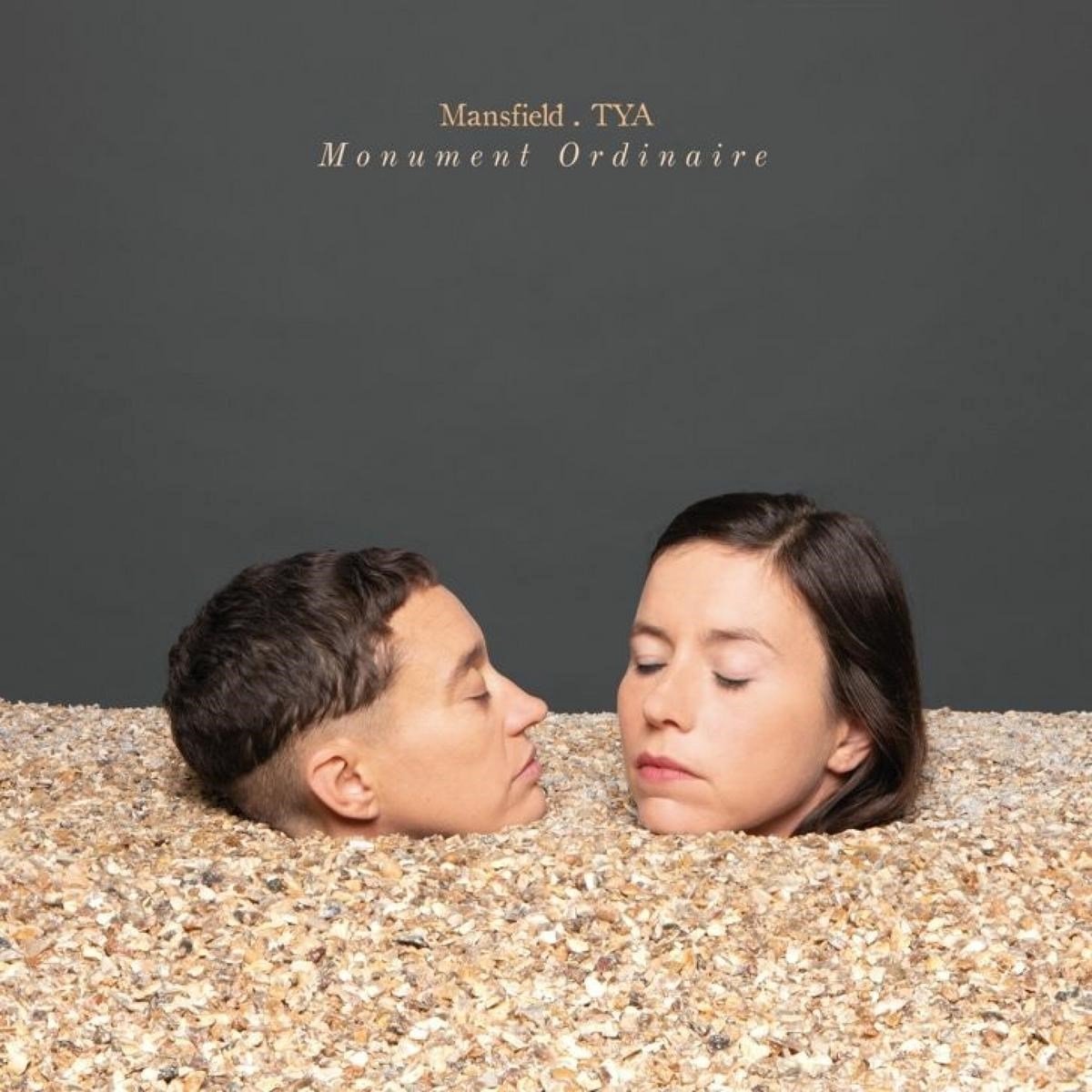 Mansfield Tya - Monument Ordinaire (LP)