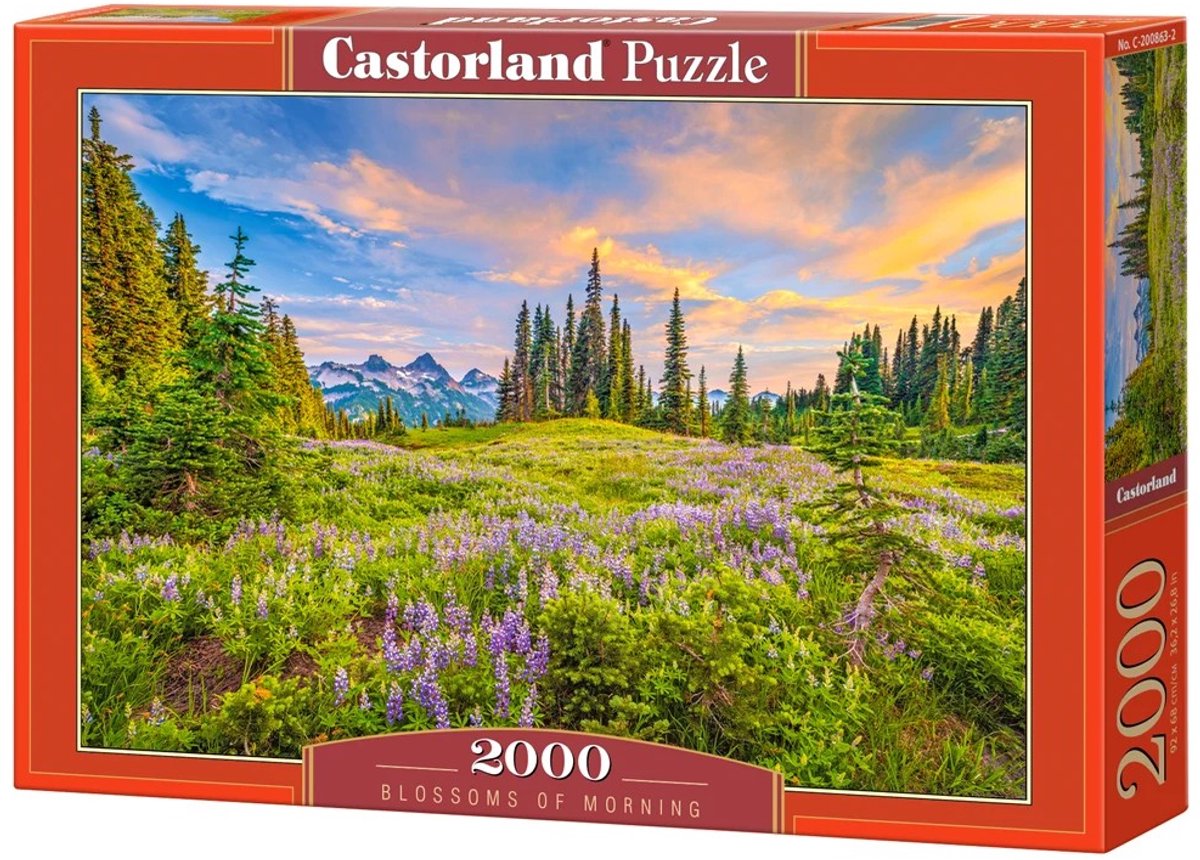 Castorland Puzzel 2000 Stukjes - Bloemen, 92x68cm