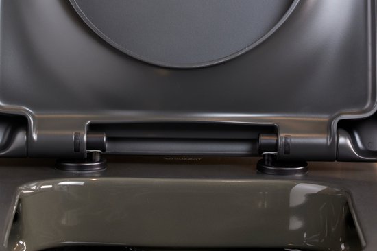 abattant WC avec système SoftClose, anthracite mat
