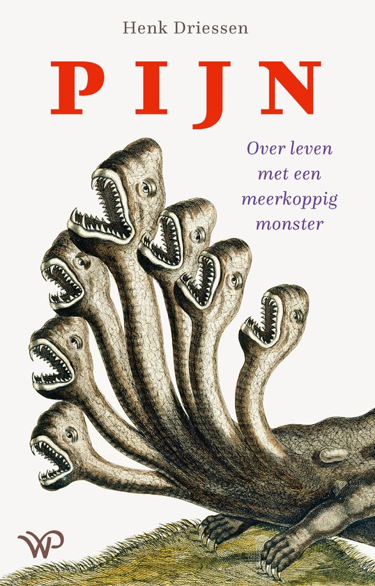 Pijn - cover