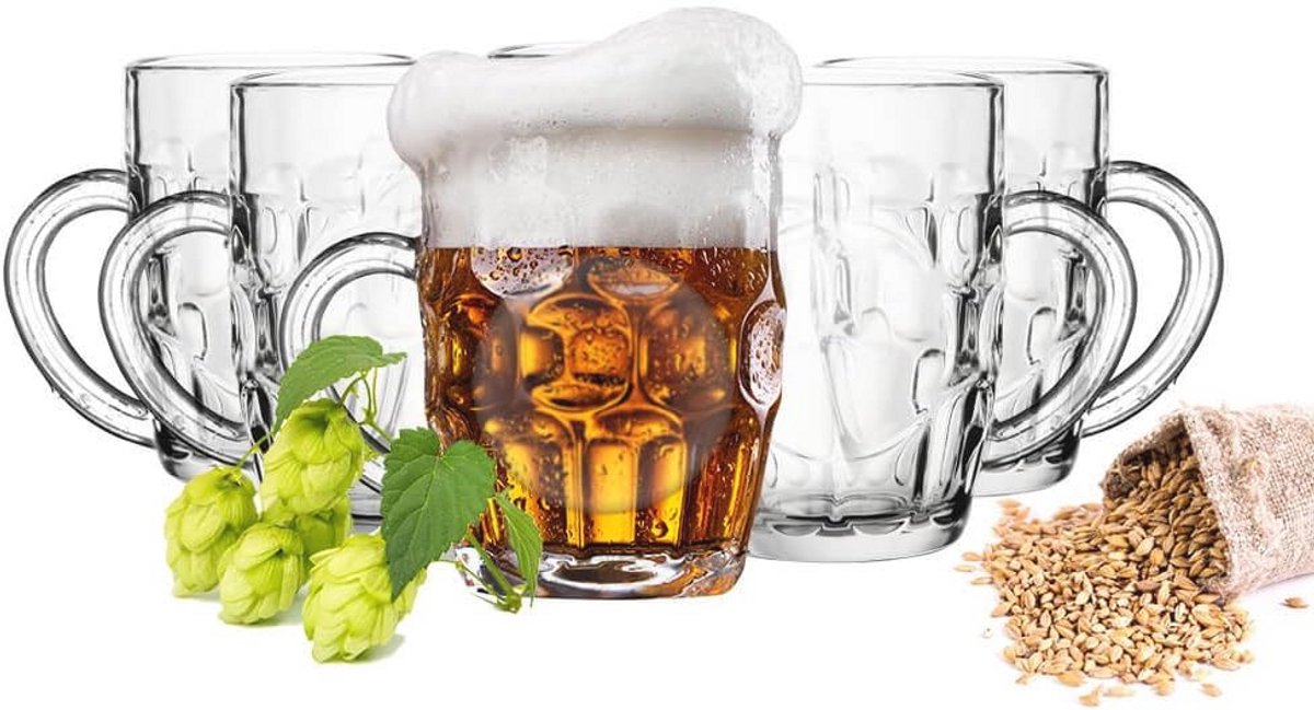 Set van 6 Robuuste Bierglazen met Handvat - 500ml