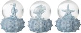 Drie decoratieve waterbollen met zeeschelpen op een lichtblauwe, stekelige basis. Een zeepaardje, een vis en een zeester zijn elk in een bol geplaatst.