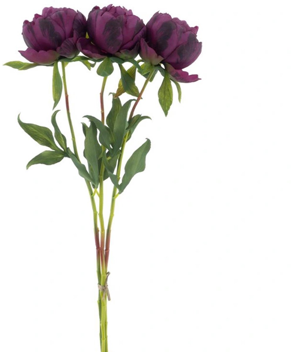 Kunstbloem Paeony Marlie Bundle Aubergine - 63 cm