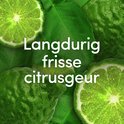 Groene citroenen en bladeren met de tekst 'Langdurig frisse citrusgeur'.