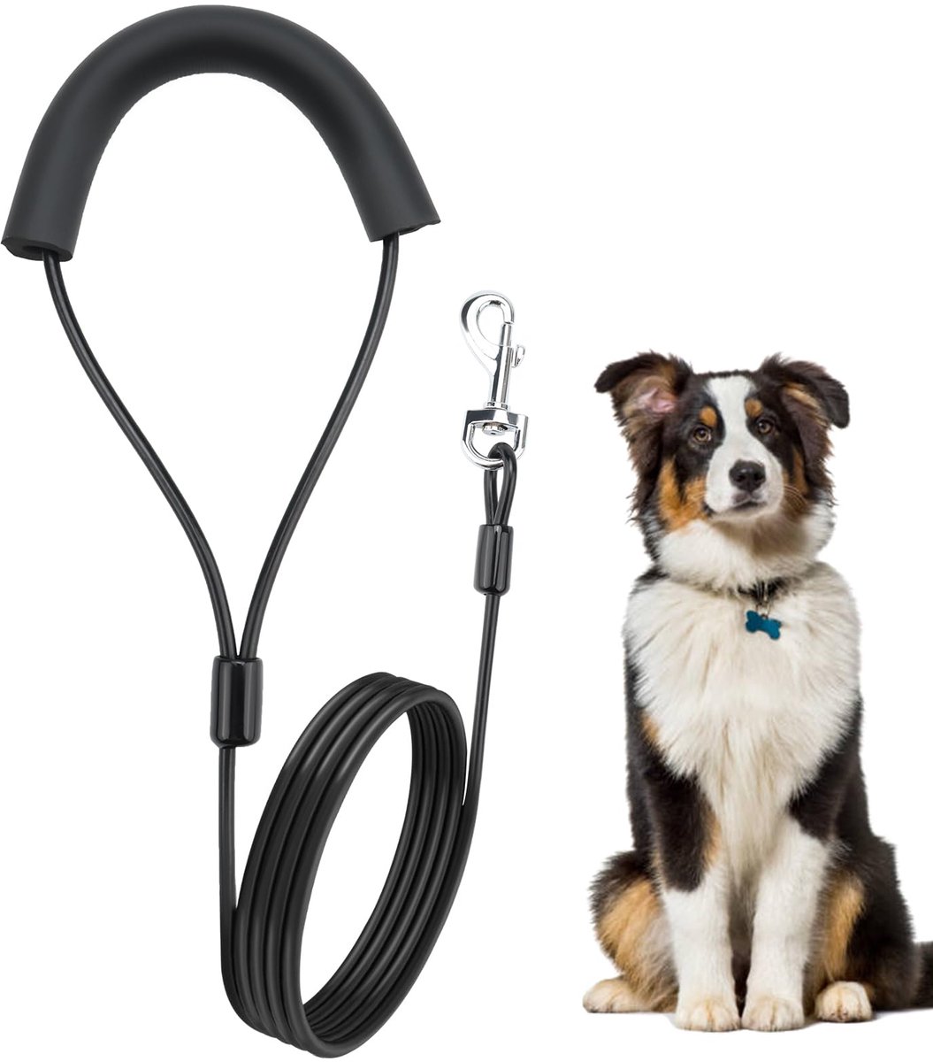 IMPERATORIS® Hondenriem - Looplijn voor Honden - Sterk - 1.6 m