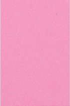 2x Licht roze papieren tafelkleden 137 x 274 cm - Tafeldecoratie