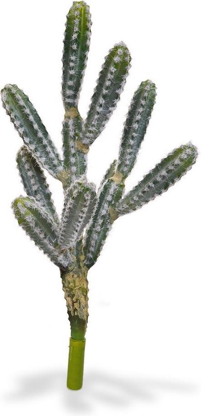 Tetragonus Cactus kunstboeket 45 cm groen