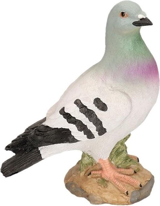 Bot Verdrag kans Grijze duif stenen beeld rechts 24 cm - Duiven dierenbeeld van polystone |  bol.com