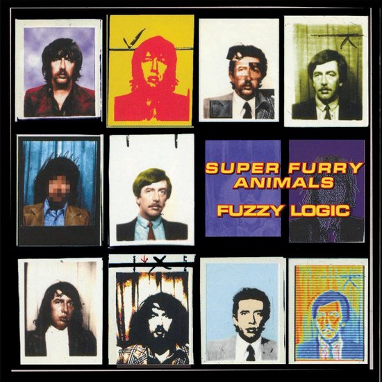 洋楽 Super Furry Animals/Fuzzy logic LP Super Furry Animals - Fuzzy Logic (LP) (Anniversary Edition