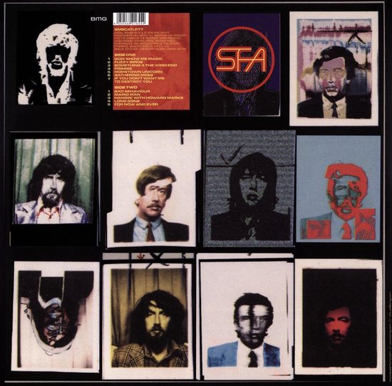 Super Furry Animals - Fuzzy Logic (LP) (Anniversary Edition