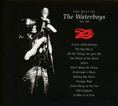 Best Of The Waterboys '81-'90