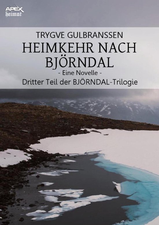 Die BJÖRNDAL-Trilogie 3 - HEIMKEHR NACH BJÖRNDAL - EINE NO ... - cover