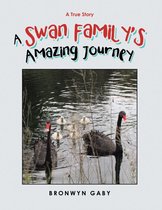 A Swan Family’s Amazing Journey