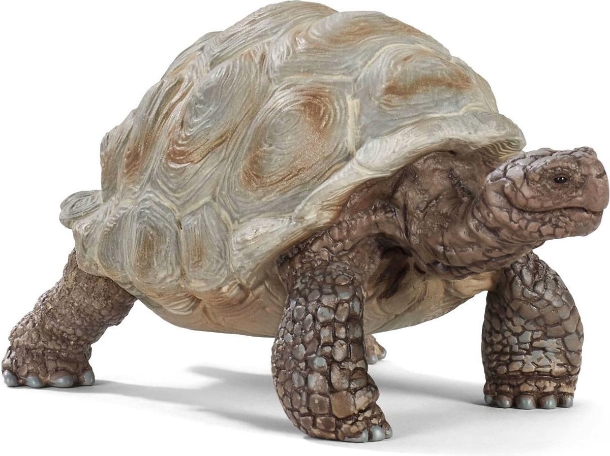schleich WILD LIFE - Reuzenschildpad - Speelfiguur - Schildpad speelgoed - 14824 — afbeelding 6