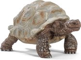 Schleich Farm World - Reuzenschildpad - Speelfiguur - Kinderspeelgoed voor Jongens en Meisjes - 3 tot 8 jaar - 14824