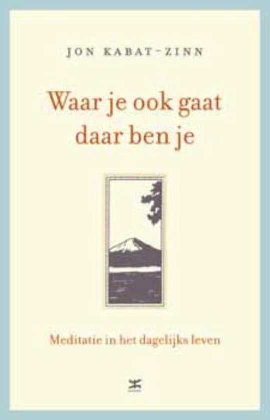 jon-kabat-zinn-waar-je-ook-gaat-daar-ben-je