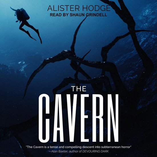 The Cavern - cover