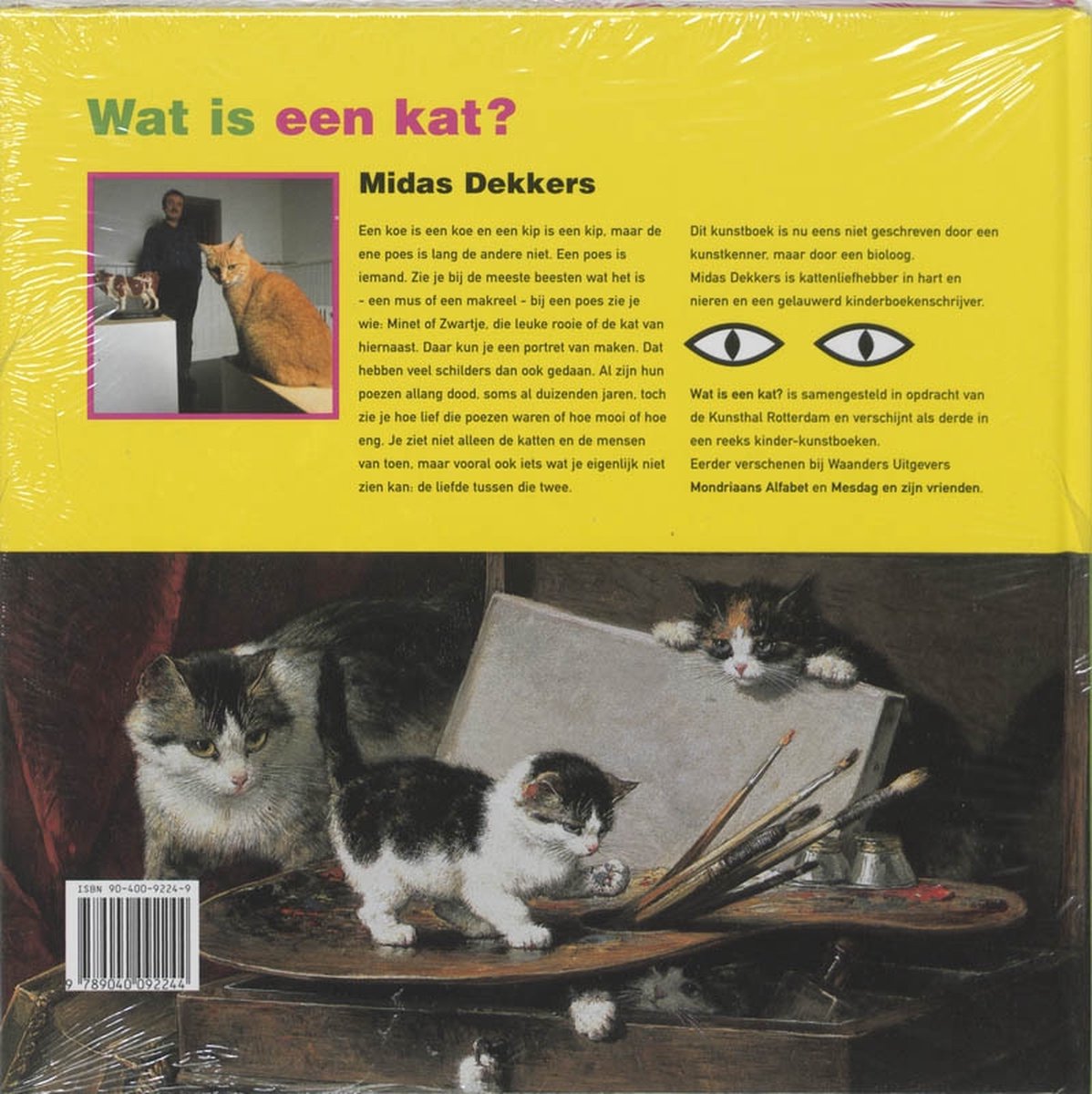 Wat Is Een Kat
