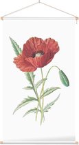 Grote Klaproos (Scarlet Poppy) - Foto op Textielposter - 40 x 60 cm