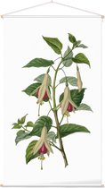 Textielposter Botanisch Bellenplant Aquarel (Fuchsia) - 60 x 105 cm
