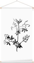 Rankende Helmbloem zwart-wit (Climbing Corydalis) - Foto op Textielposter - 40 x 60 cm