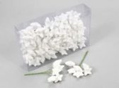 Kerststekers - Pet 18x6 Glitterstars/wire White 40 Mm