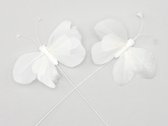 Bijstekers - W/b. 48 Butterflies/pick White 8 Cm