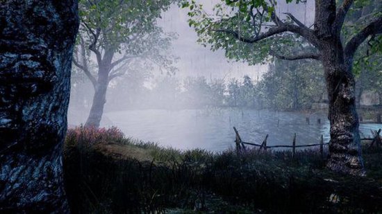 Mistige, regenachtige ochtend aan de rand van een meer, met bomen en struiken.