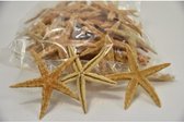 Schelpen - Sugar Starfish 8-10cm Natural 50pcs