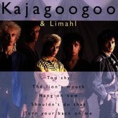 The Best Of Kajagoogoo & Limahl