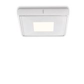 PN180 Plafondlamp LED 1x Vierkant Wit