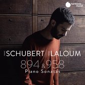 Adam Laloum - Schubert: Sonatas D. 894 & D. 958 (CD)